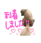 KIDくんスタンプ！（個別スタンプ：12）