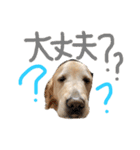 KIDくんスタンプ！（個別スタンプ：18）