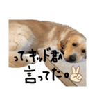 KIDくんスタンプ！（個別スタンプ：23）