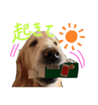 KIDくんスタンプ！（個別スタンプ：24）