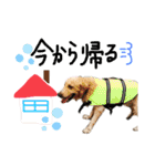 KIDくんスタンプ！（個別スタンプ：28）