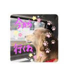 KIDくんスタンプ！（個別スタンプ：29）