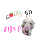 KIDくんスタンプ！（個別スタンプ：32）