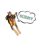 ミニピンKomugi（個別スタンプ：1）