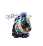 ミニピンKomugi（個別スタンプ：5）