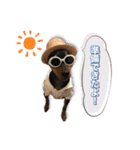 ミニピンKomugi（個別スタンプ：6）