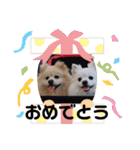 ゆーたとふーたの日常3（個別スタンプ：1）
