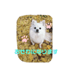 ゆーたとふーたの日常3（個別スタンプ：3）