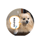 ゆーたとふーたの日常3（個別スタンプ：5）
