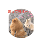 ゆーたとふーたの日常3（個別スタンプ：6）