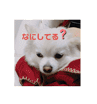 ゆーたとふーたの日常3（個別スタンプ：7）
