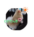 ゆーたとふーたの日常3（個別スタンプ：10）