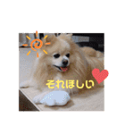 ゆーたとふーたの日常3（個別スタンプ：12）