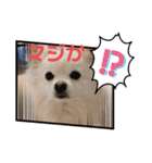 ゆーたとふーたの日常3（個別スタンプ：13）
