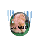 ゆーたとふーたの日常3（個別スタンプ：14）