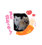 ゆーたとふーたの日常3（個別スタンプ：15）