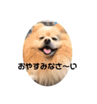 ゆーたとふーたの日常3（個別スタンプ：16）