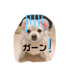 ゆーたとふーたの日常3（個別スタンプ：17）