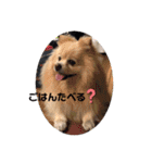 ゆーたとふーたの日常3（個別スタンプ：19）