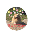 ゆーたとふーたの日常3（個別スタンプ：21）