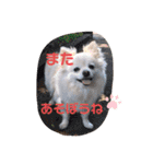 ゆーたとふーたの日常3（個別スタンプ：22）
