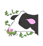 ゆるうし（個別スタンプ：6）