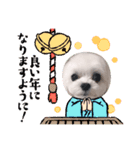 わんわんわんわんわんわんわんわんわん（個別スタンプ：3）