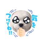 わんわんわんわんわんわんわんわんわん（個別スタンプ：4）