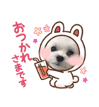 わんわんわんわんわんわんわんわんわん（個別スタンプ：5）