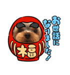 わんわんわんわんわんわんわんわんわん（個別スタンプ：7）