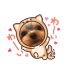 わんわんわんわんわんわんわんわんわん（個別スタンプ：8）