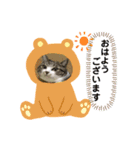 くーりん！（個別スタンプ：4）