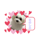 くーりん！（個別スタンプ：7）