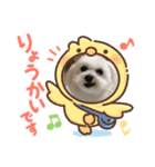 くーりん！（個別スタンプ：8）