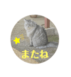 こうさきぃちゃんスタンプ（個別スタンプ：3）