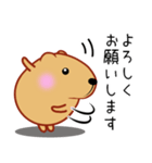 きゃぴばら【丁寧敬語】（個別スタンプ：3）