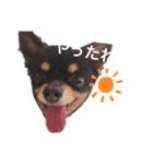 佐々木小太郎スタンプ（個別スタンプ：3）