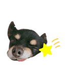 佐々木小太郎スタンプ（個別スタンプ：6）