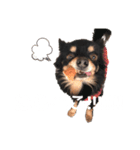 佐々木小太郎スタンプ（個別スタンプ：7）