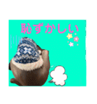 イタグレのめいの喜怒哀楽。（個別スタンプ：9）