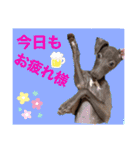 イタグレのめいの喜怒哀楽。（個別スタンプ：10）