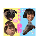 イタグレのめいの喜怒哀楽。（個別スタンプ：21）