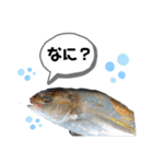 中西商店の仲間達（個別スタンプ：2）