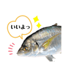 中西商店の仲間達（個別スタンプ：3）