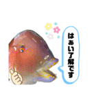 中西商店の仲間達（個別スタンプ：5）
