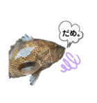 中西商店の仲間達（個別スタンプ：7）