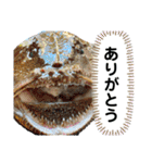 中西商店の仲間達（個別スタンプ：9）