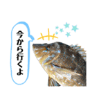 中西商店の仲間達（個別スタンプ：13）
