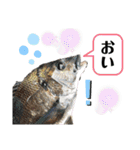 中西商店の仲間達（個別スタンプ：16）