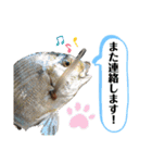 中西商店の仲間達（個別スタンプ：17）